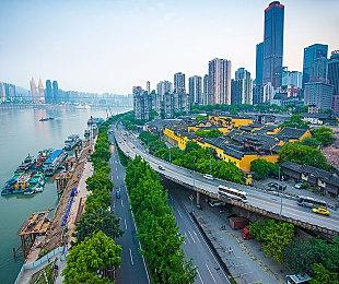 知名儿童漫画《神探狗狗》将推出改编游戏